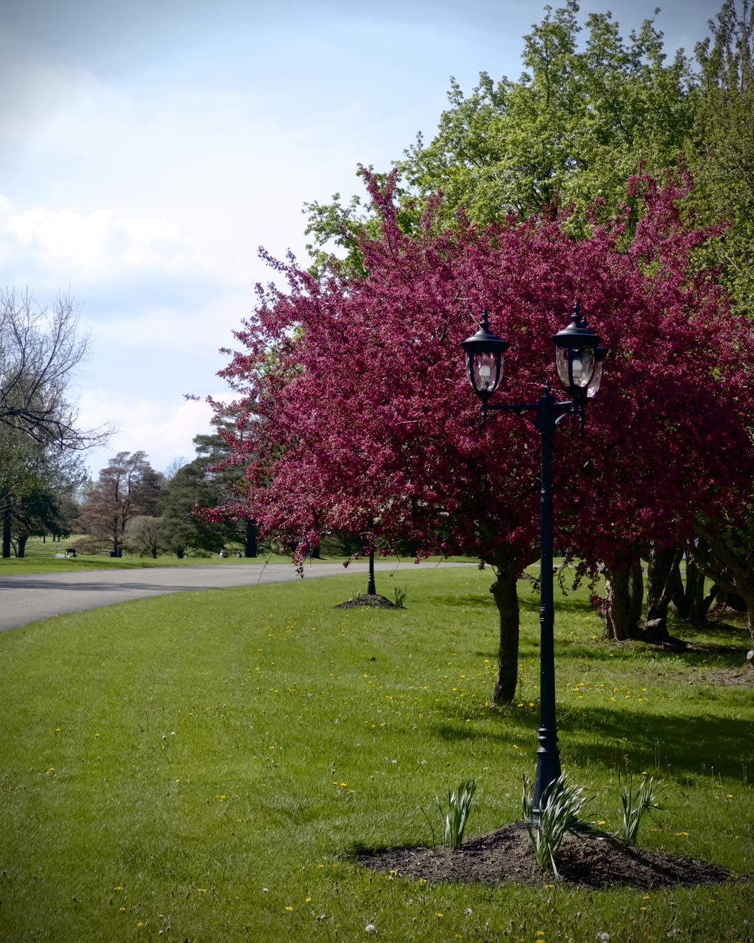 Moon Brook Country Club